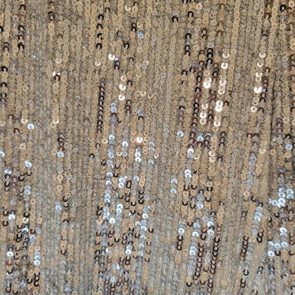 ANN TAYLOR SILVER SEQUIN WIDE LEG PANTS NWT - Picture 7 of 13